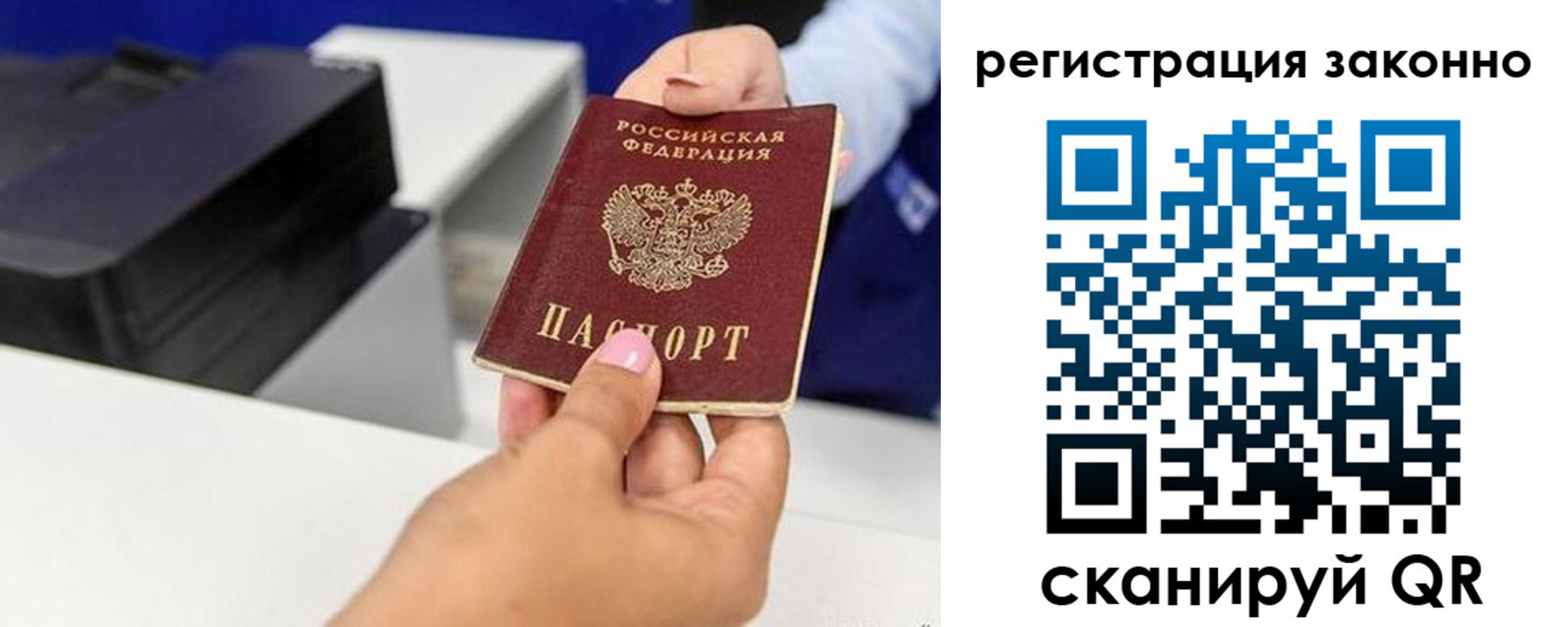 прописка для школы в Курганинске